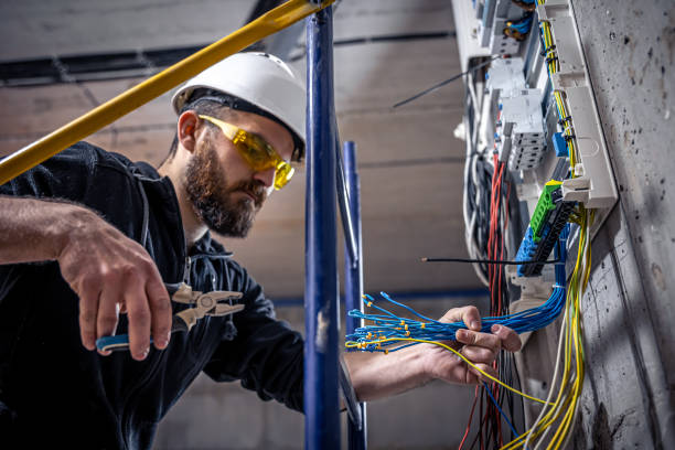 Best 24-Hour Electrician  in Escobares, TX