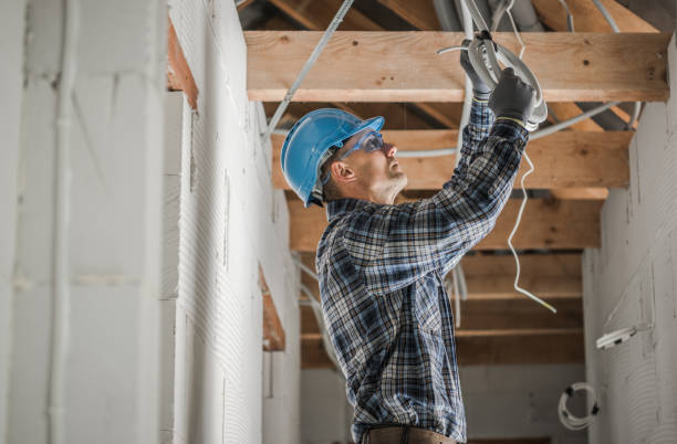 Best Licensed Electrician  in Escobares, TX