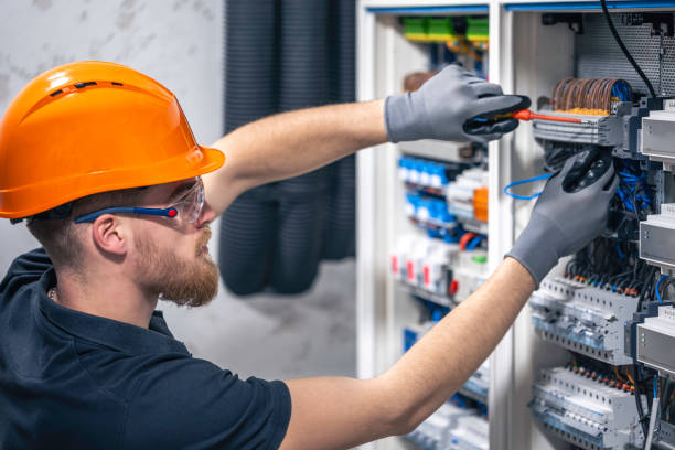 Best Electrical System Inspection  in Escobares, TX